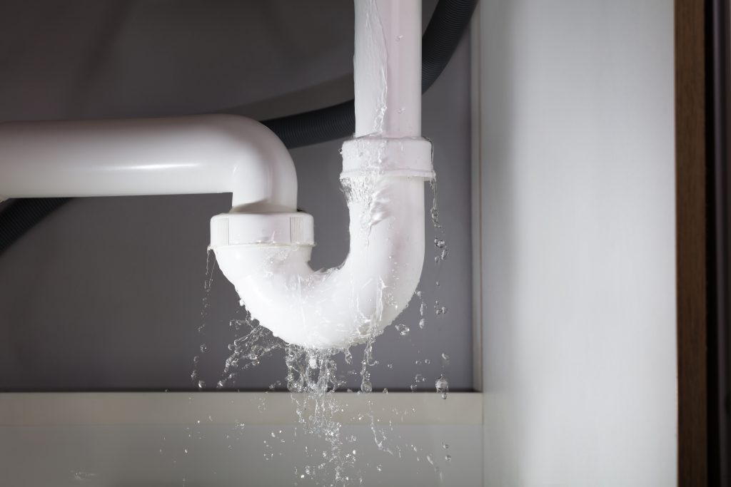 Water Damage Under Sink