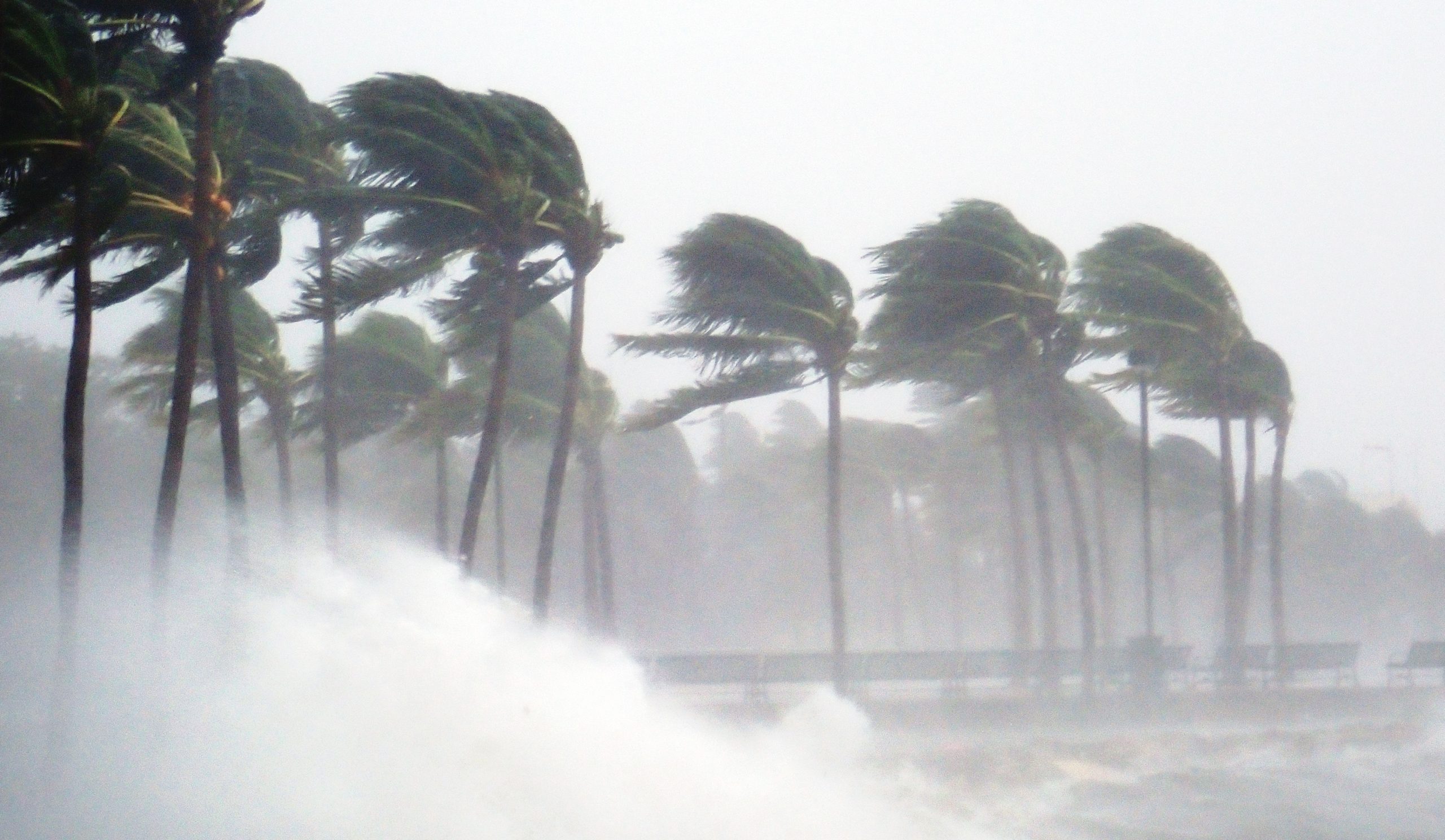 DAÑOS POR VIENTO