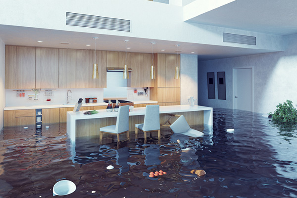 Water Damage Insurance Claims
