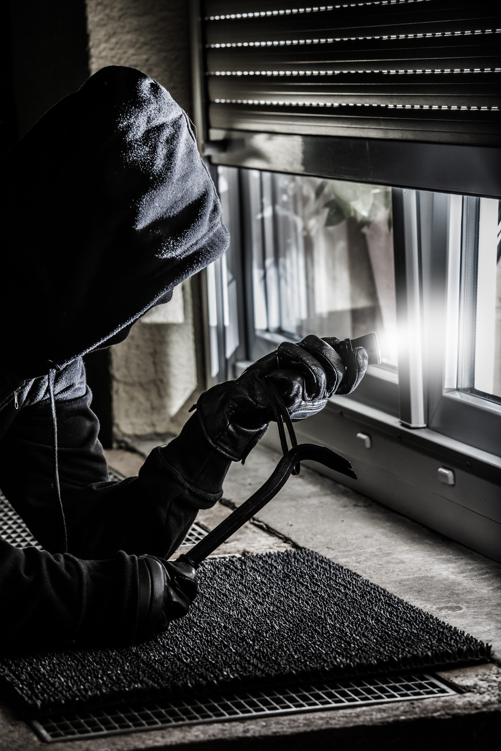 Vandalismo y robo: ajustador de seguros público en Florida